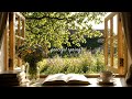 comforting dreamy day 🌿 soft piano for deep focus, reading, writing, studying &amp; working #14
