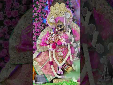 Radha Vallabh Shri Harivansh 🫰🪔#bhakti #parmanandji #bhajan #premanandjipravachan #shortvideo