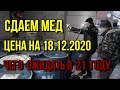 Сдаем мед оптом, цена на декабрь 2020 года, чего ожидать в 2021 году по цене на мед