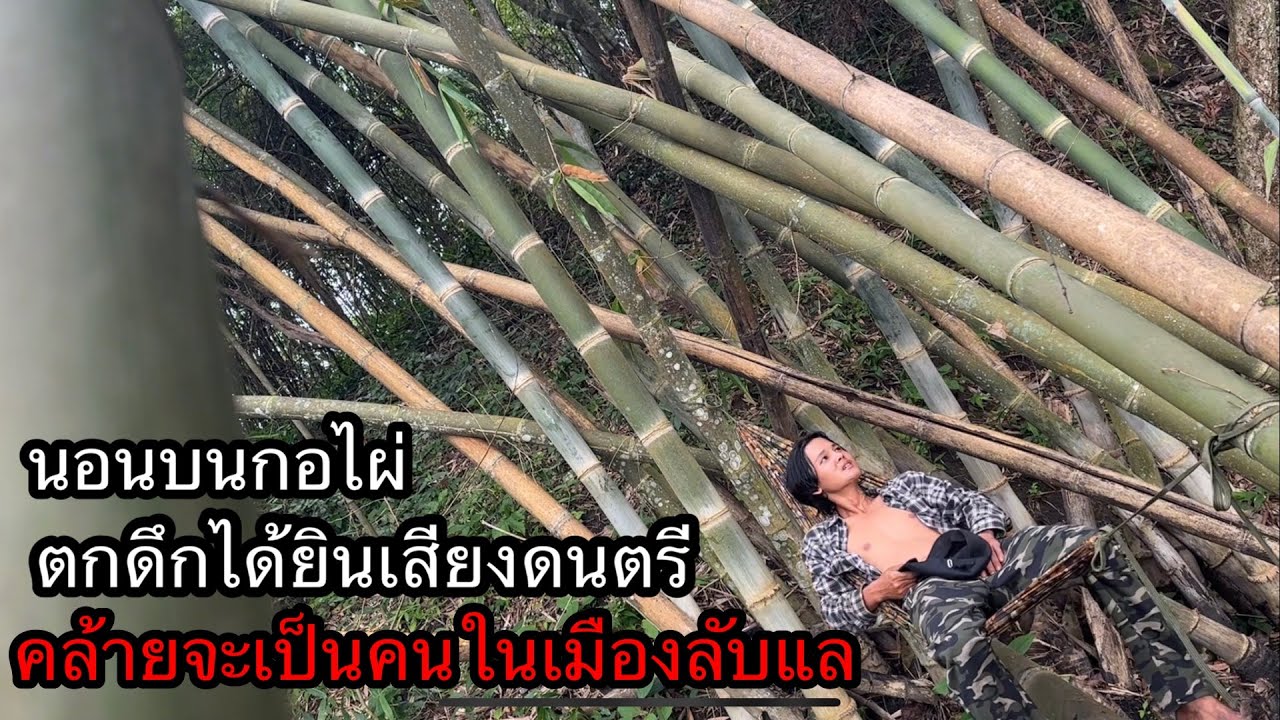 ได้ยินเสียงดนตรีในป่าลึก”คล้ายจะเป็นคนในเมืองลับแล