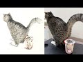 曝光雪王后廚！ ！原來bobo是這樣做成的#cat #catmemes #animated memes #catvideos