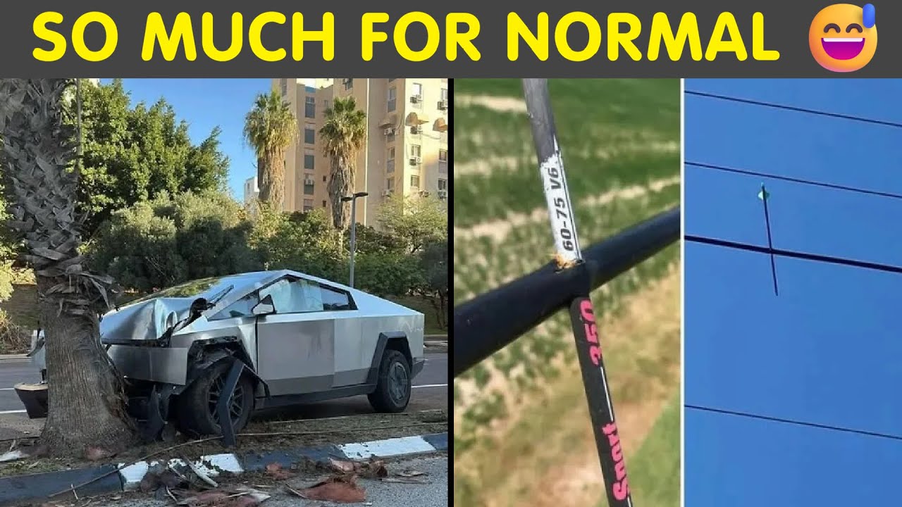 People Who Thought Today Would Be Normal (It Was Not 😅)