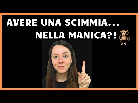 Video: La Tua Guida Essenziale Alle Espressioni E Alle Frasi Gergali Olandesi