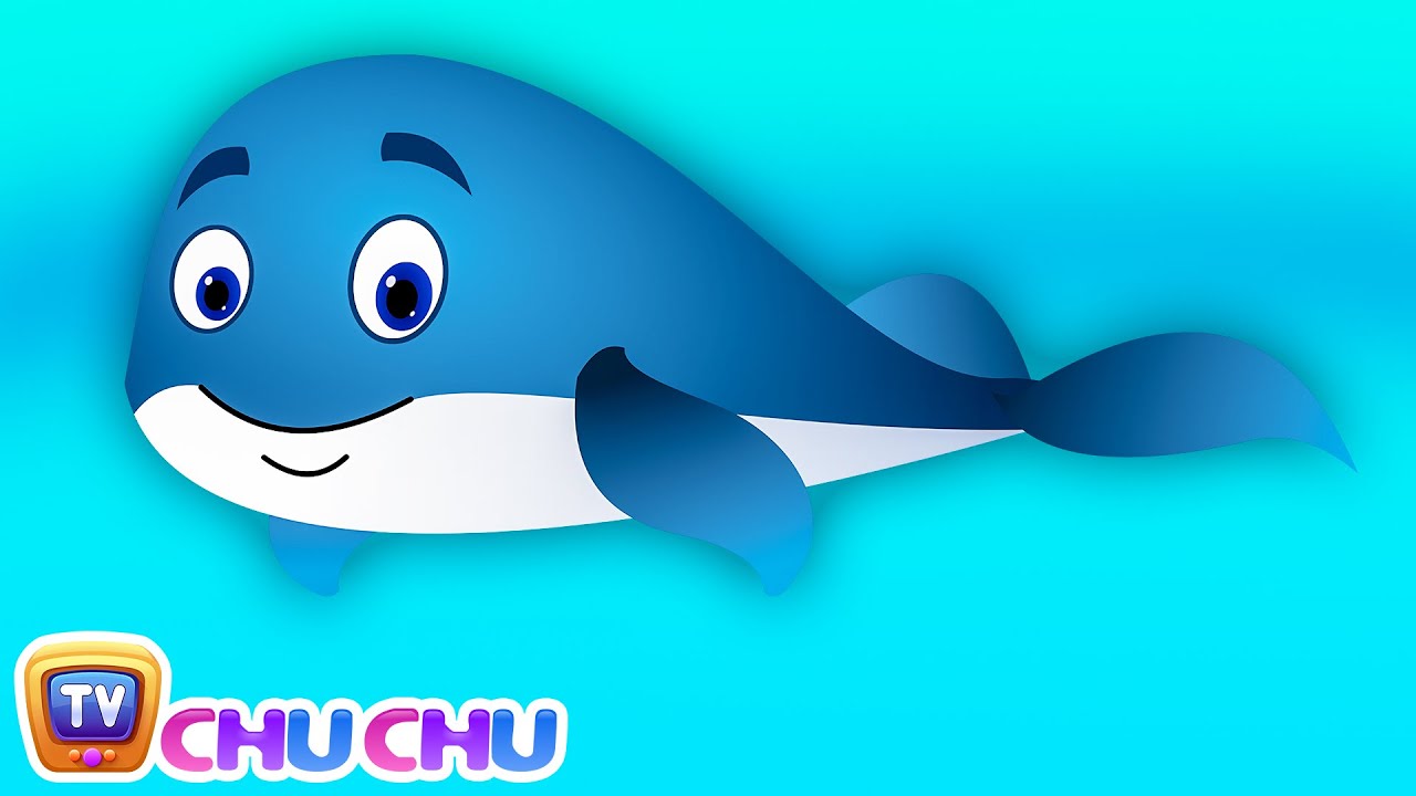 Blue Whale Nursery Rhyme | ChuChuTV Sea World | Animal Songs ...