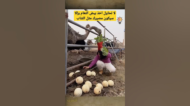 لا تحاول أخذ بيض النعامة لهذا السبب #shorts
