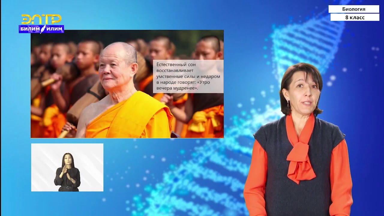 8-класс | Биология | Сон и его значение. Сновидения - YouTube