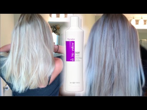 bud New Zealand større Purple Shampoo on DRY Hair?! | Fanola No Yellow - YouTube