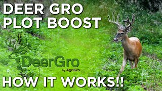 How Does DeerGro PlotBoost Work?! | Timing & Application