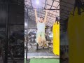 stomach exercises #gym #gymmotivation #cambodia #fyp #type