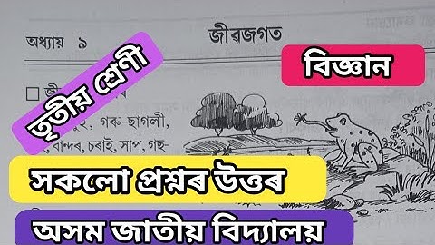 class 3//Science//অধ্যায় ৯//জীৱজগত//সম্পূৰ্ণ প্ৰশ্নৰ উত্তৰ//অসম জাতীয় বিদ্যালয়