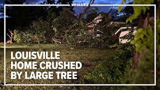 Lyndon home suffers extreme damage after tree crushes roof