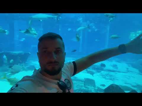 Lost Chamber Atlantis Dubai