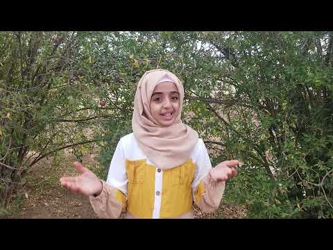 عيدنا سعادتنا // ملاك فتحي