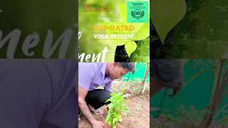 Happy World Environment Day by Veda5 Goa, Kerala & Rishikesh - Ayurveda, Naturopathy, Yoga Retreat