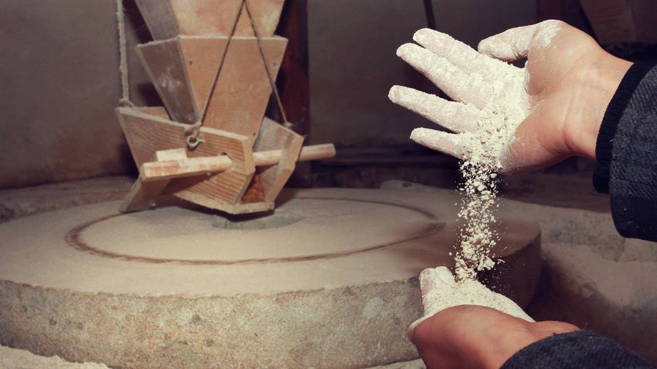 Plodovi zemlje, 1. veljače 2026.