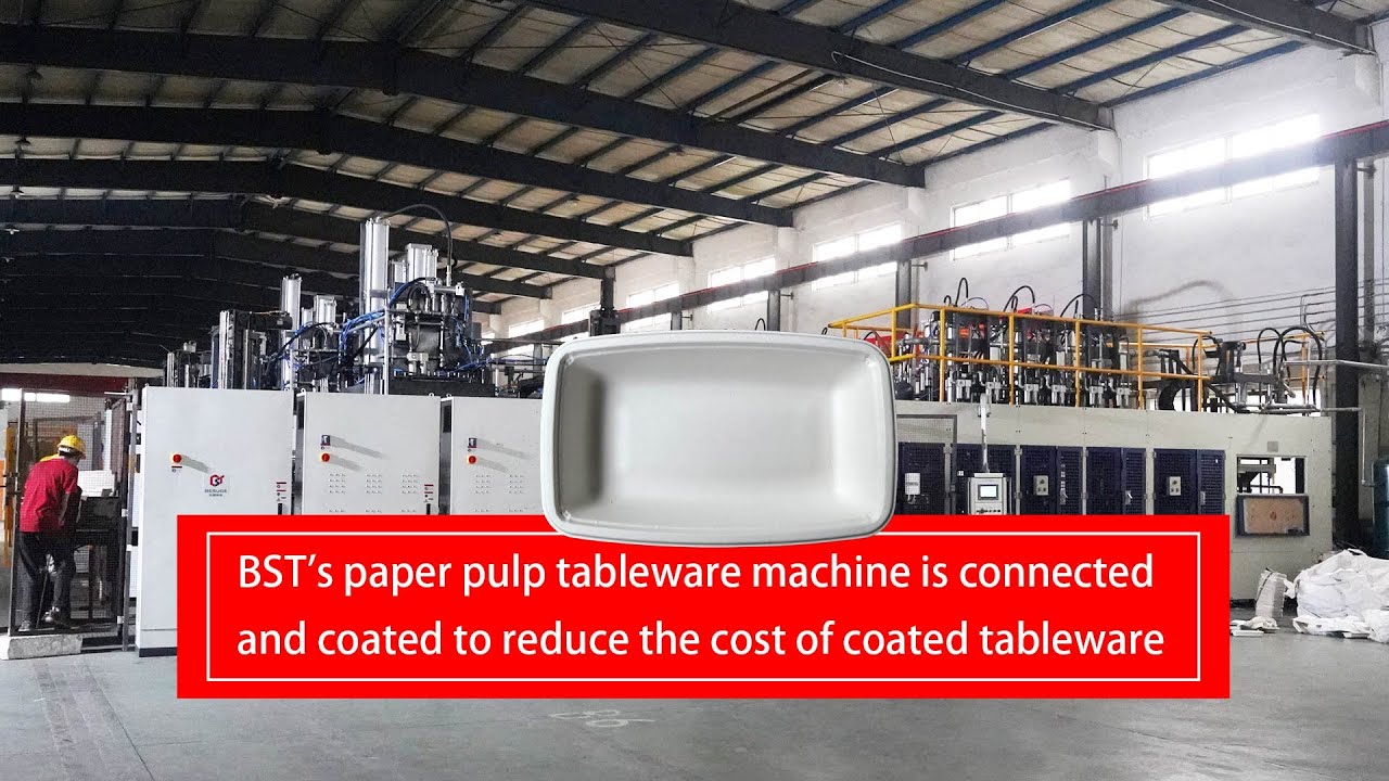 BST's paper pulp tableware machine is connected and coated to reduce