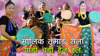 New Tamang Selo Song ।।ल्होछार मान्ने टुडिखेल।। Bairagi Moktan, Roshani Lama & Tirtha Pakhrin 2077