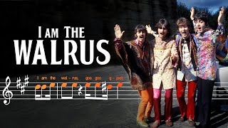 Analysing I Am The Walrus’ unique chord progression