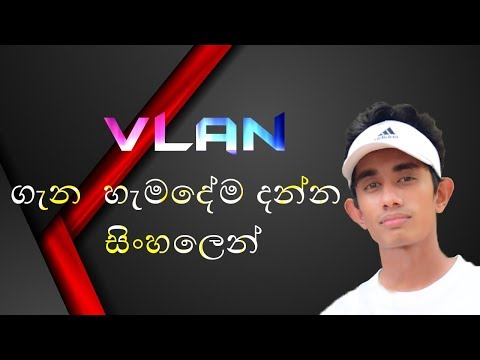 Vlan සිංහලෙන් දැනගන්න ඒකතු ‌වෙන්න Part 01 -  TechnoPedia