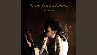 Video thumbnail of "José Gálvez - Se me parte el alma"