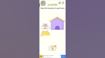 Help the hamster to get home 🏠 | dop 2 game level 101