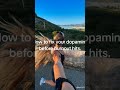stopscroll. #productivity #mindfulness #usethisapptostopscrolling #stopscroll