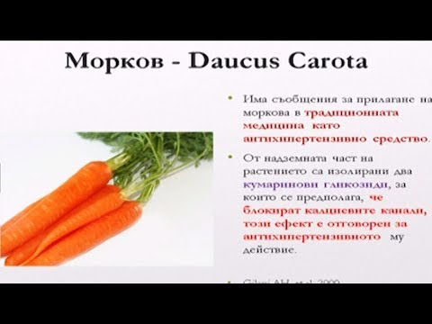 Видео: Какво е значението на преекспонирането?