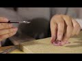 MOOGU | The Magic of Dedication ✨🌟