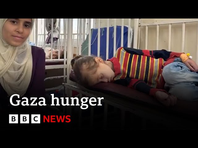 BBC exclusive:  US doctor’s shocking video from frontline hospital in Gaza | BBC News
