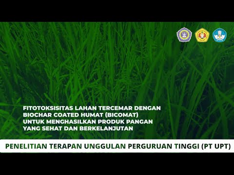 Video: Bagaimana cara menyembuhkan fototoksisitas?