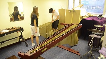 YAMAHA YM5100A 5 Oct Marimba *OPEN BOX*