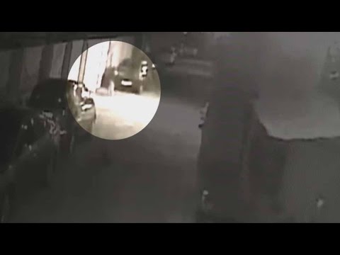 Caught on cam: Dogs chase away leopard from residential area - Caught on cam: Dogs chase away leopard from residential area