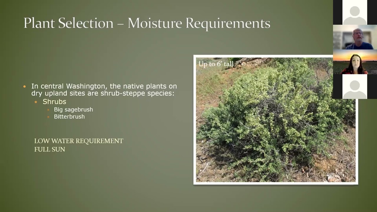 Plant Selection and Maintenance by Mel Asher -3/7/22 Zoom