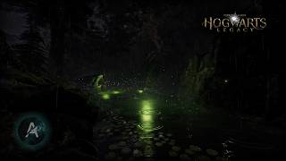 4K First-Person Walk Stormy Summer Night Forbidden Forest to Slytherin Common Room | Hogwarts Legacy