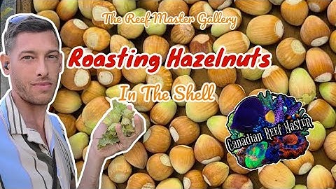 Roasting Delicious Fresh Picked Hazelnuts In The Shell