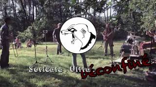 Suricate . Ultra . Vénère se déconfine - Witch Doctor (by Galactic)