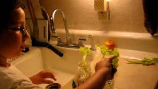 Nick's Celery & Food Dye Experiment Part 1...June 2, 2009