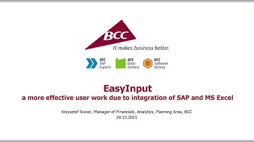 All for One EasyInput - try a more effective user work due to integration of SAP and MS Excel