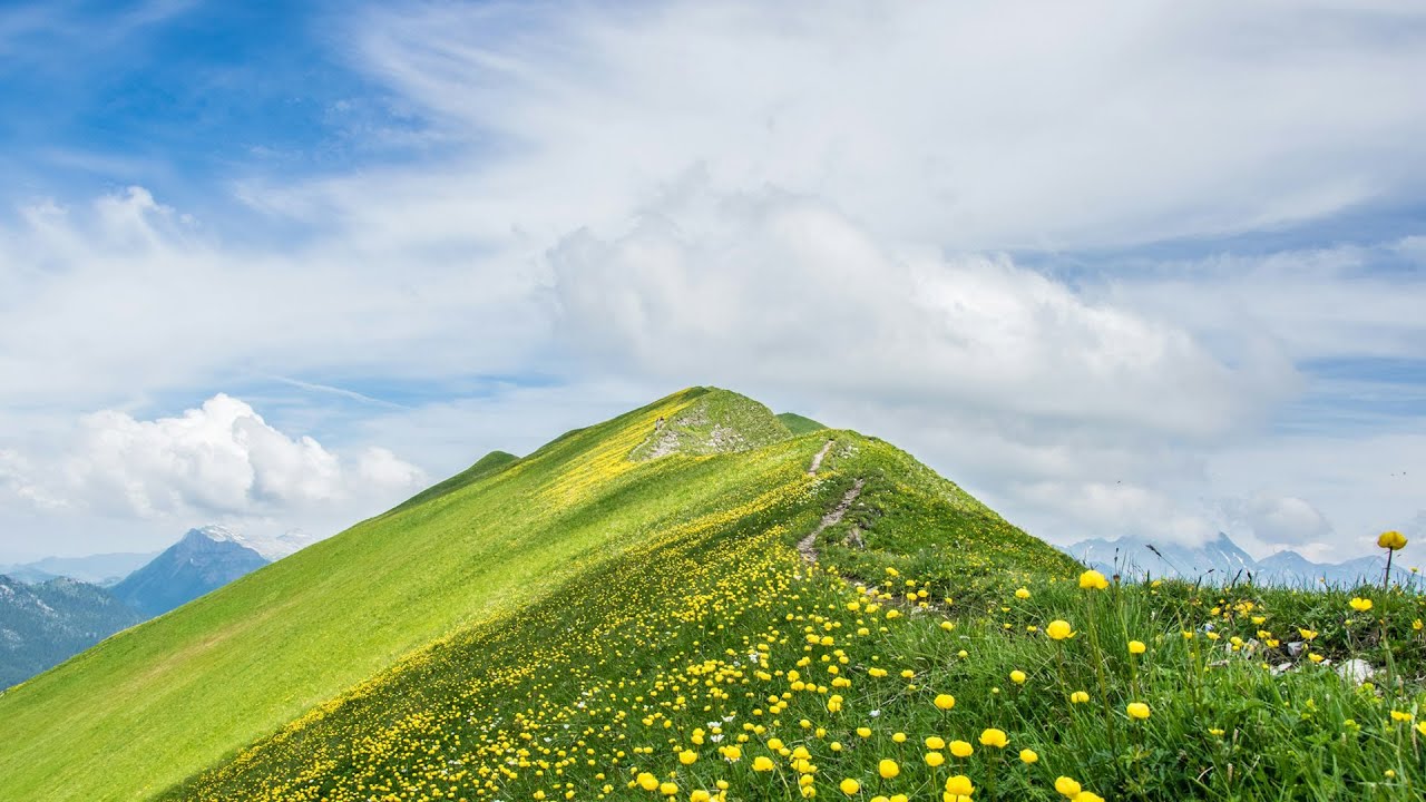 Tara: Reclaiming Your Essence