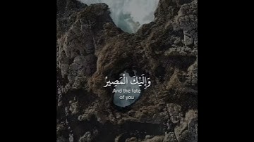قران الكريم بصوت رعد الكردي | حالات واتس اب دينية - سورة الممتحنة