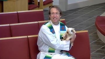 Plotinus (Tiny) the Pig - The Third Sunday of Pentecost 2020