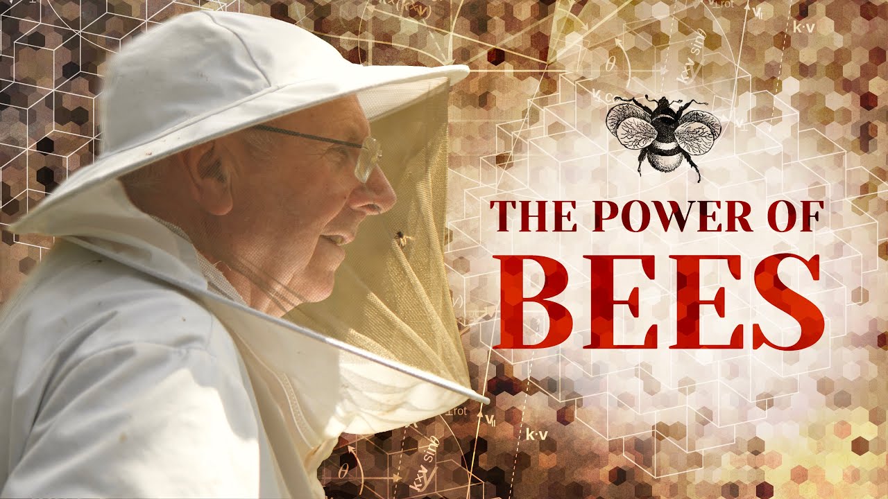 The Power of Bees | Short Documentary