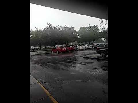 venice irma fl hurricane