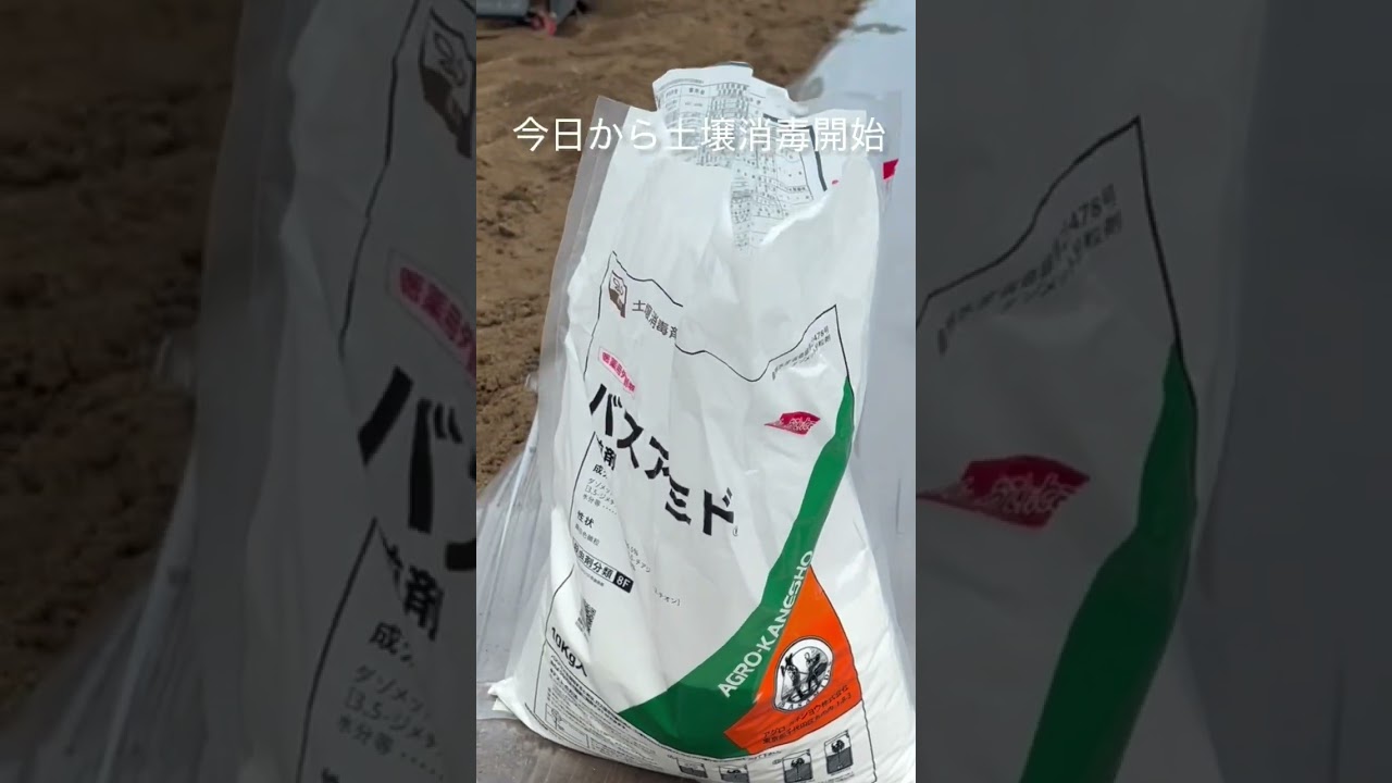 玉ねぎ種まき準備 バスアミドで土壌消毒開始です #水抜き #農業