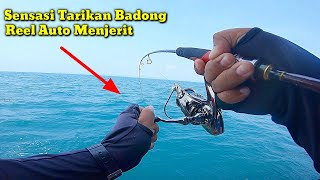 Gak Nyangka Dapat Ikan Badong, Padahal Kami Baru Sarapan