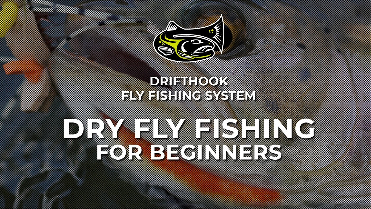 Dry Fly Fishing for Beginners 