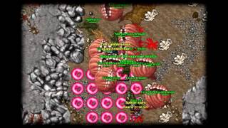 [TIBIA] [HD] Ice Crambler some running on Test Server 2016