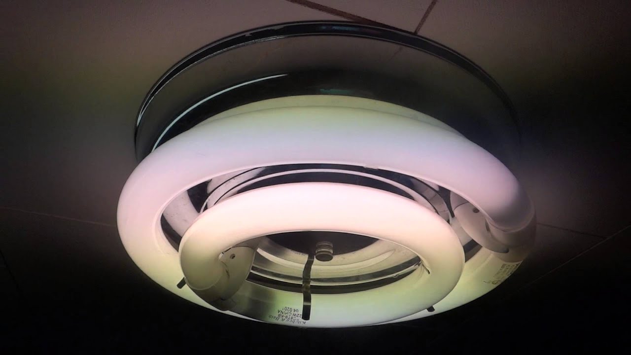 kitchen light with two circline bulbs
