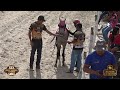 CORRIDA DE CAVALOS - XIX FESTEJO DA COMUNIDADE DO SABIÁ 2026 - PACARAIMA PART. 1