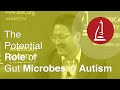 The Potential Role of Gut Microbes in Autism